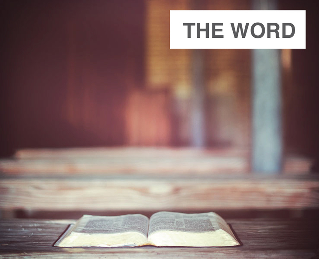 The Word | The Word| MusicSpoke