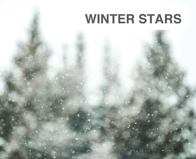 Winter Stars | Winter Stars| MusicSpoke