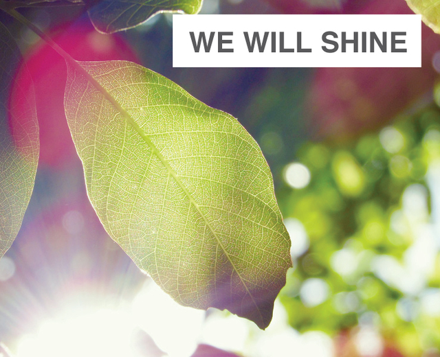 We Will Shine Like The Sun | We Will Shine Like The Sun| MusicSpoke