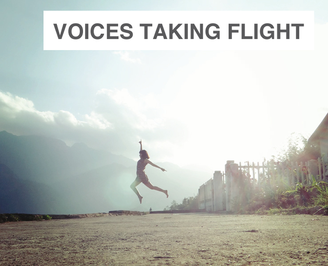 Voices Taking Flight | Voices Taking Flight| MusicSpoke