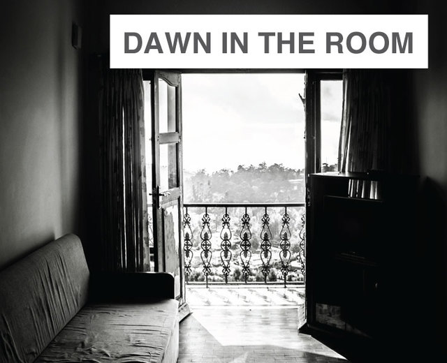 Dawn in the Room | Dawn in the Room| MusicSpoke
