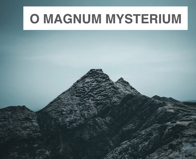 O Magnum Mysterium | O Magnum Mysterium| MusicSpoke