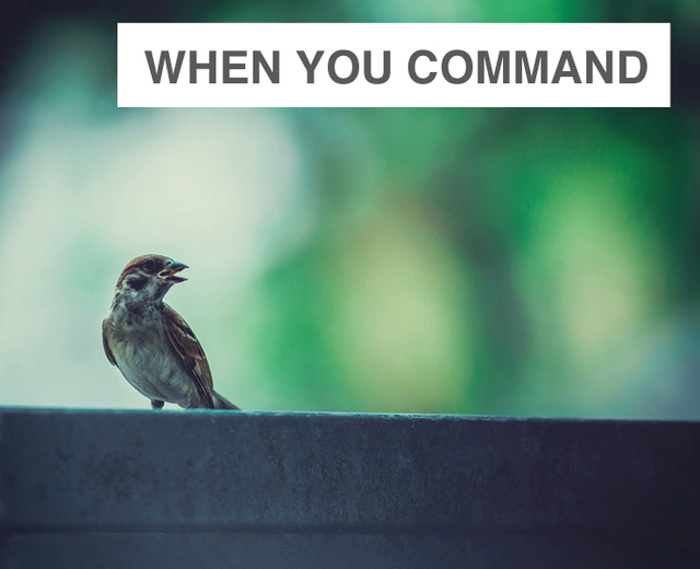 When You Command Me To Sing | When You Command Me To Sing| MusicSpoke