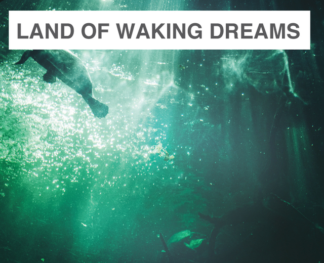 Land of Waking Dreams | Land of Waking Dreams| MusicSpoke