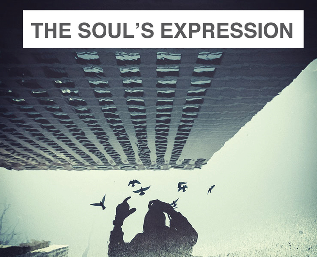 The Soul's Expression | The Soul's Expression| MusicSpoke