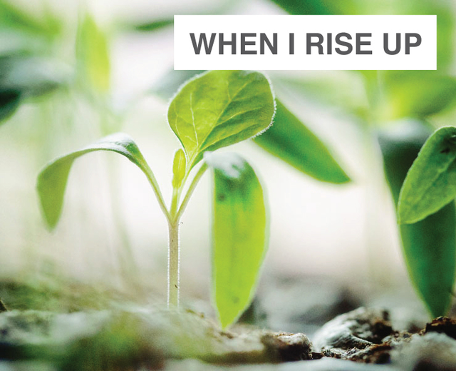When I Rise Up | When I Rise Up| MusicSpoke