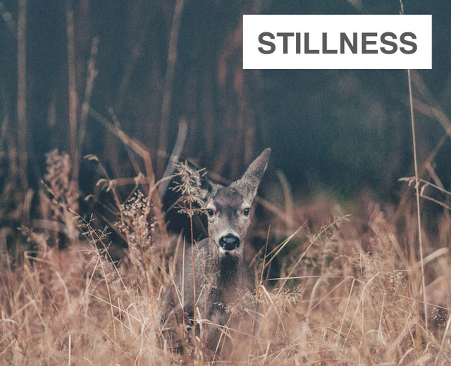 Stillness | Stillness| MusicSpoke