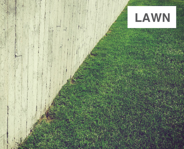 Lawn | Lawn| MusicSpoke