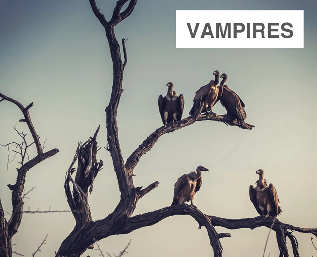 Vampires | Vampires| MusicSpoke
