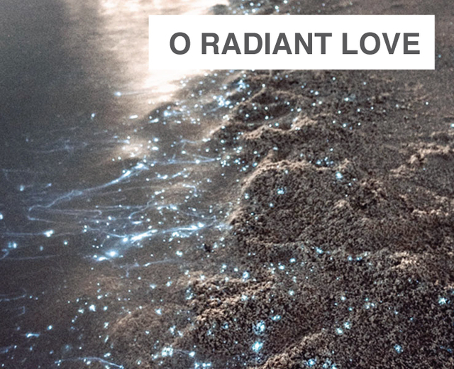 O Radiant Love | O Radiant Love| MusicSpoke