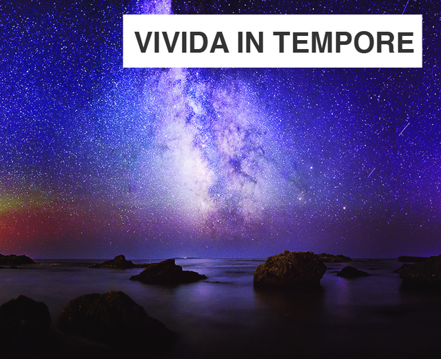 Vivida In Tempore | Vivida In Tempore| MusicSpoke