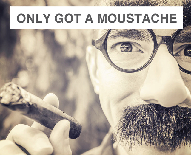 If You've Only Got a Moustache | If You've Only Got a Moustache| MusicSpoke