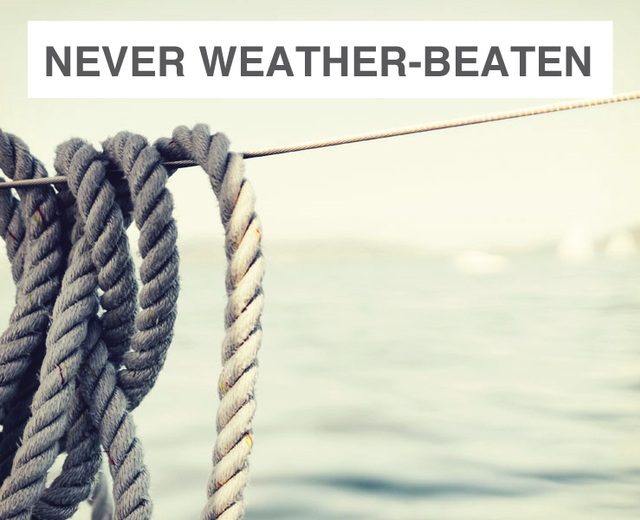 Never Weather-beaten Sail | Never Weather-beaten Sail| MusicSpoke