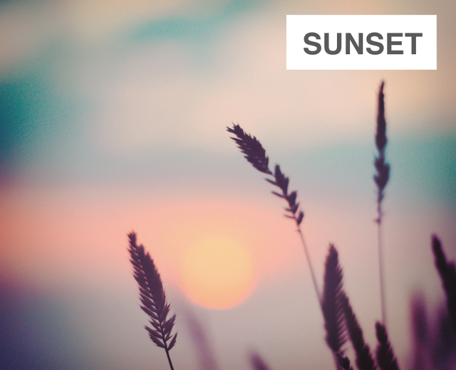 Sunset | Sunset| MusicSpoke