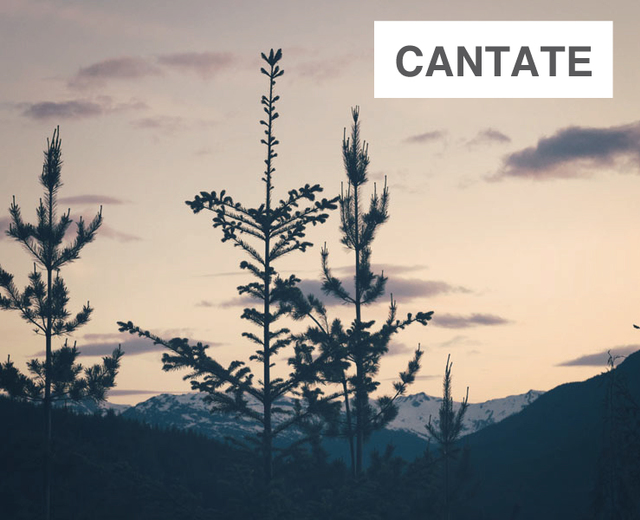 Cantate | Cantate| MusicSpoke