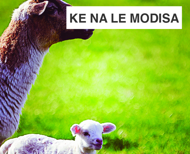 Ke Na Le Modisa | Ke Na Le Modisa| MusicSpoke