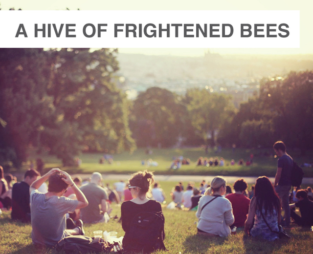 A Hive of Frightened Bees | A Hive of Frightened Bees| MusicSpoke