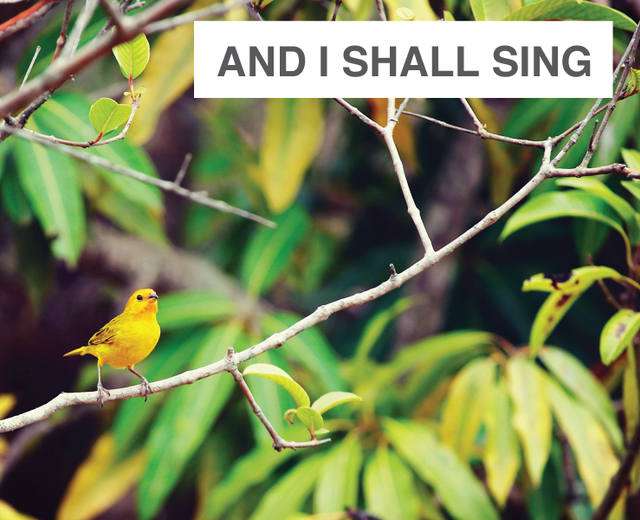 And I Shall Sing | And I Shall Sing| MusicSpoke