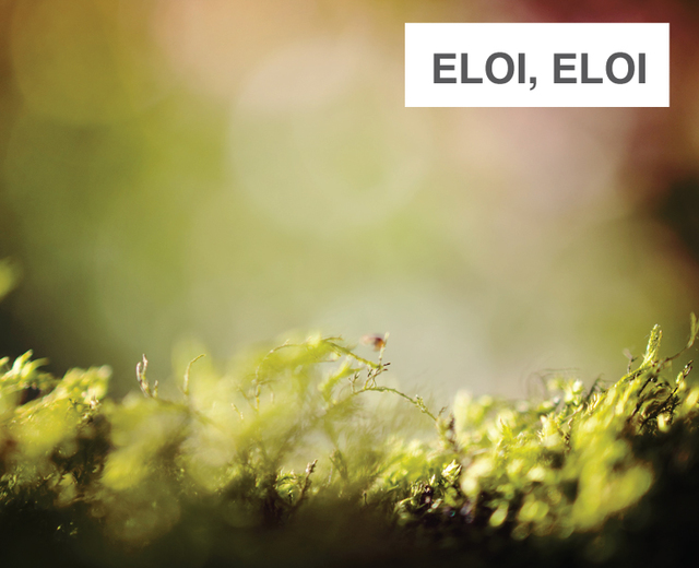 Eloi, Eloi | Eloi, Eloi| MusicSpoke