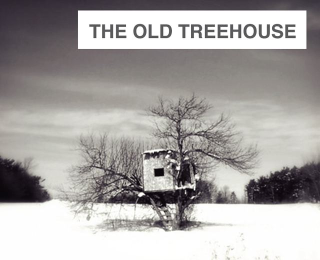 The Old Treehouse | The Old Treehouse| MusicSpoke