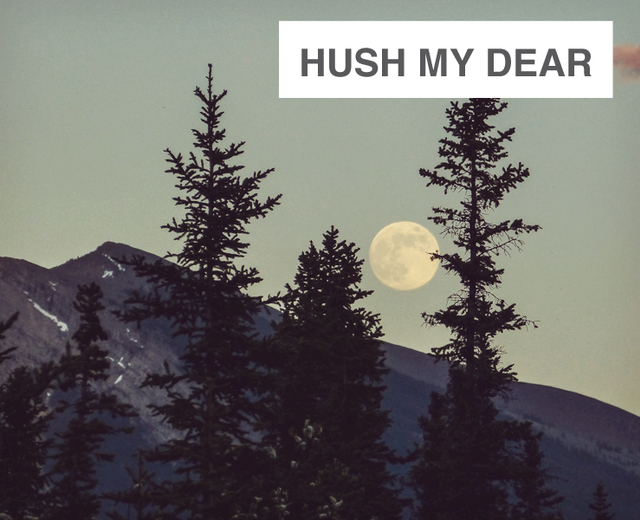 Hush My Dear | Hush My Dear| MusicSpoke