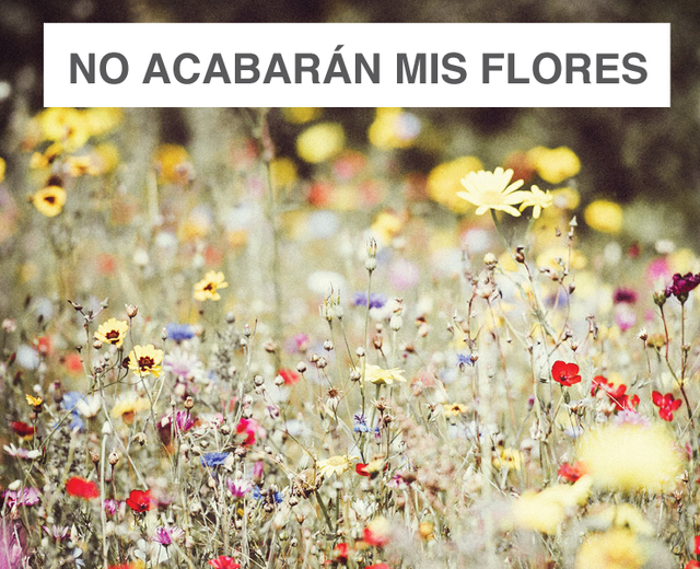 No acabarán mis flores | No acabarán mis flores| MusicSpoke