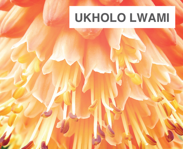 Ukholo Lwami | Ukholo Lwami| MusicSpoke