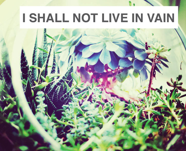 I Shall Not Live in Vain | I Shall Not Live in Vain| MusicSpoke