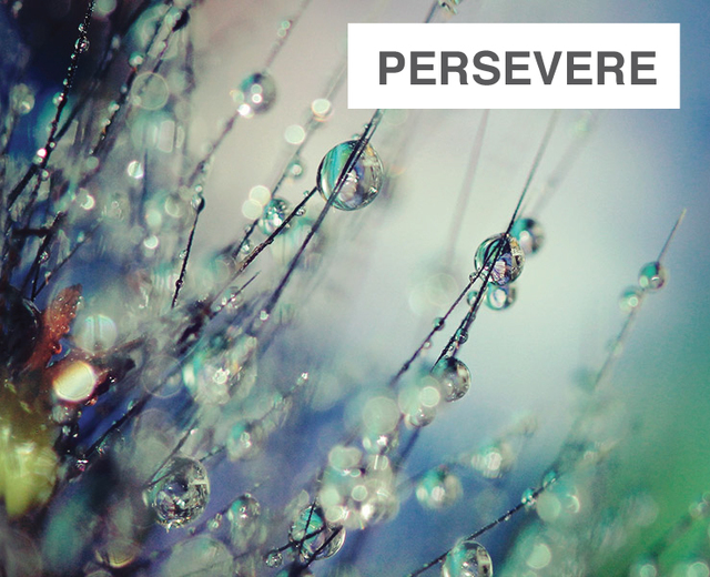 Persevere | Persevere| MusicSpoke
