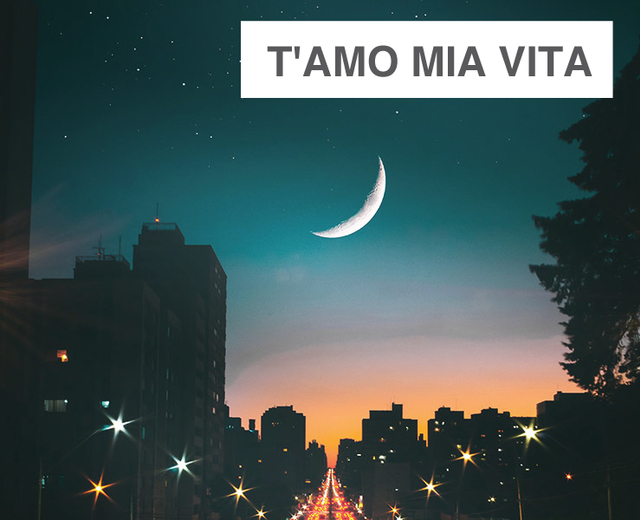 T'amo Mia Vita | T'amo Mia Vita| MusicSpoke