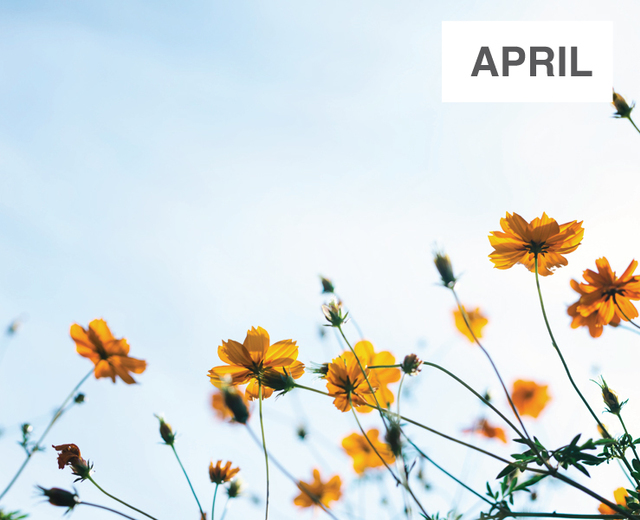 April | April| MusicSpoke