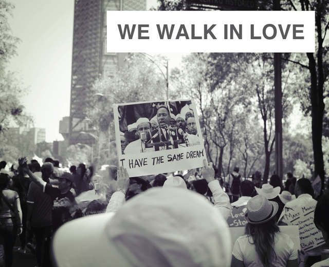 We Walk In Love | We Walk In Love| MusicSpoke