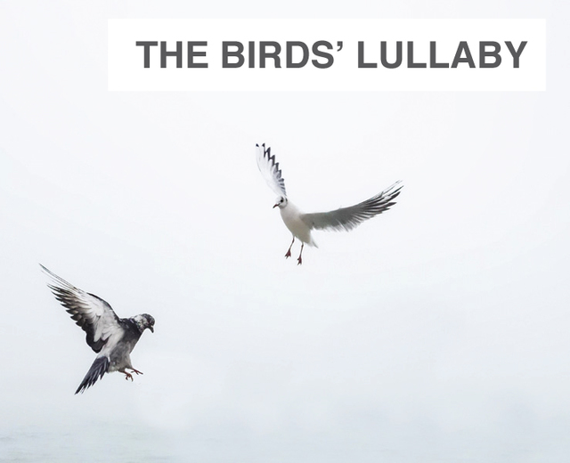 The Birds' Lullaby | The Birds' Lullaby| MusicSpoke