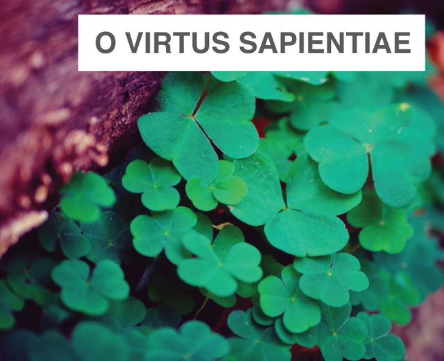 O Virtus Sapientiae | O Virtus Sapientiae| MusicSpoke