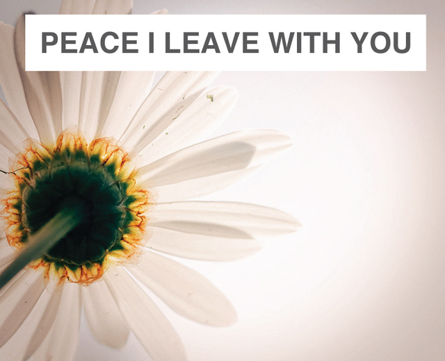 Peace I Leave with You | Peace I Leave with You| MusicSpoke
