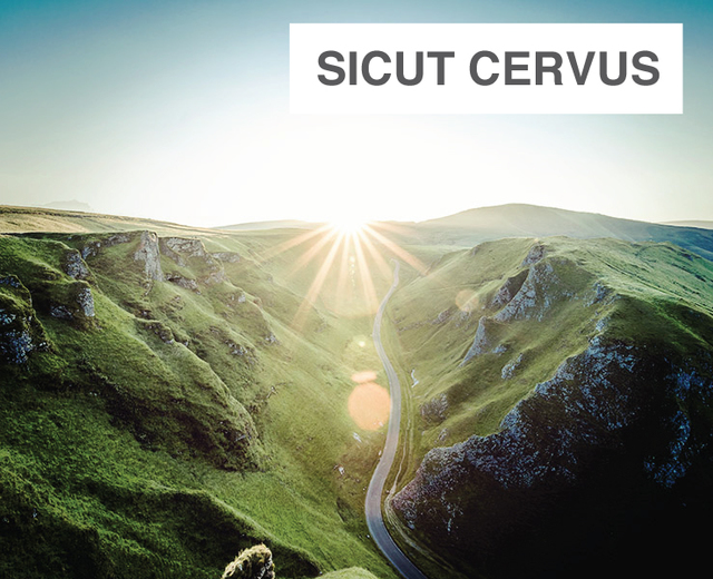 Sicut cervus  | Sicut cervus | MusicSpoke