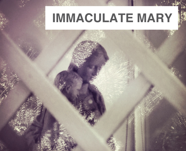 Immaculate Mary | Immaculate Mary| MusicSpoke