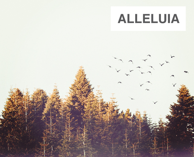 Alleluia | Alleluia| MusicSpoke