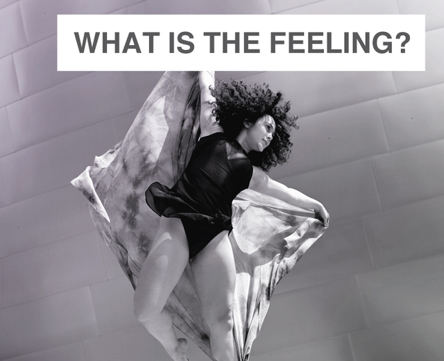 What Is The Feeling? | What Is The Feeling?| MusicSpoke