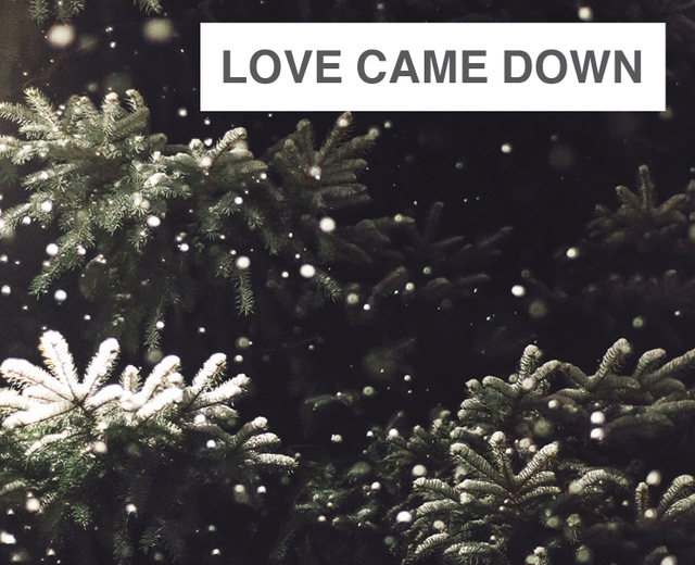 Love Came Down at Christmas | Love Came Down at Christmas| MusicSpoke