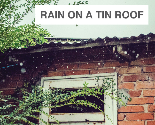 Rain on a Tin Roof | Rain on a Tin Roof| MusicSpoke