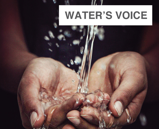 Water's Voice | Water's Voice| MusicSpoke