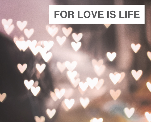 For Love Is Life | For Love Is Life| MusicSpoke