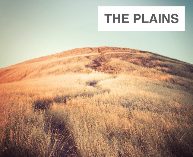The Plains | The Plains| MusicSpoke