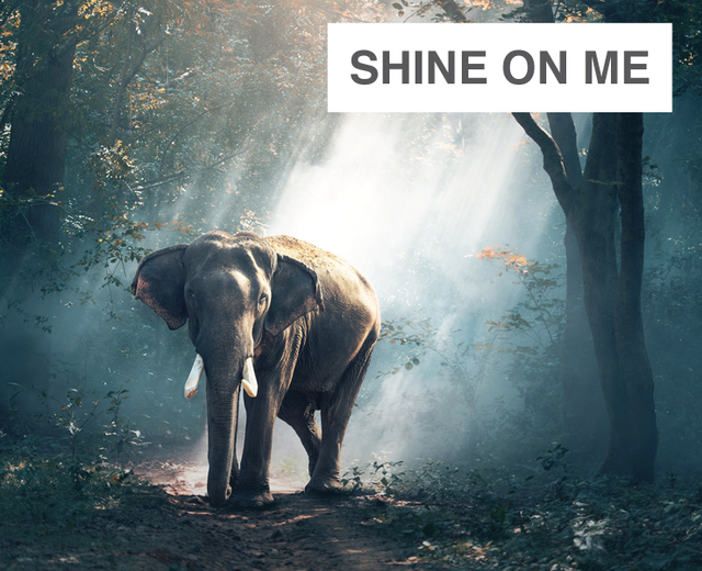 Shine on Me | Shine on Me| MusicSpoke