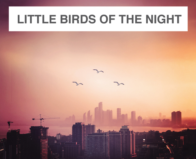 Little Birds of the Night | Little Birds of the Night| MusicSpoke