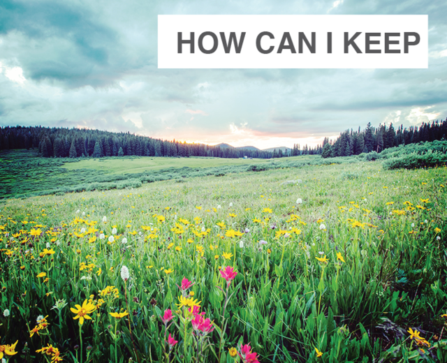 How Can I Keep From Singing | How Can I Keep From Singing| MusicSpoke