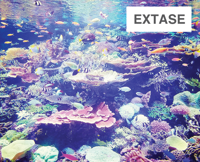 Extase | Extase| MusicSpoke
