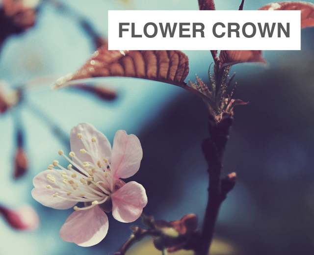 Flower crown | Flower crown| MusicSpoke