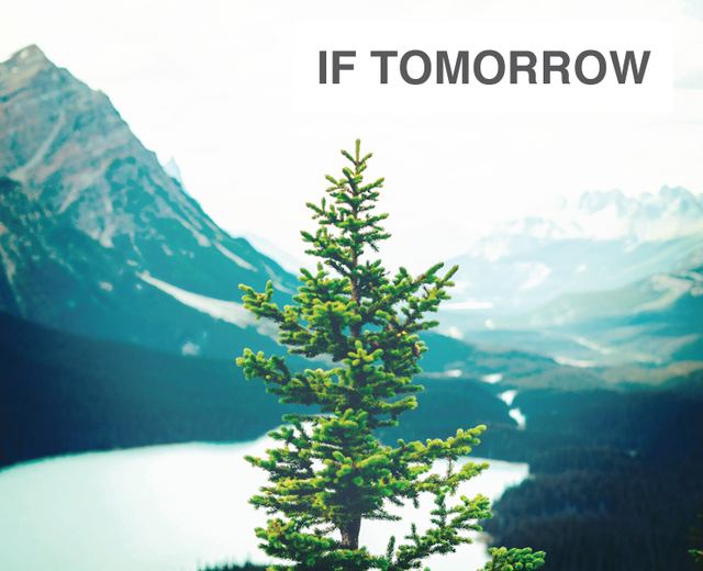 If Tomorrow I Became a Tree | If Tomorrow I Became a Tree| MusicSpoke